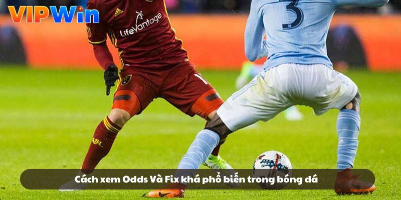 Cách xem Odds Và Fix khá phổ biến trong bóng đá Cách xem Odds Và Fix khá phổ biến trong bóng đá