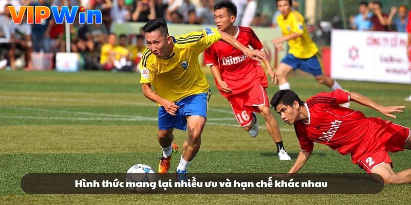 Hình thức mang lại nhiều ưu và hạn chế khác nhau