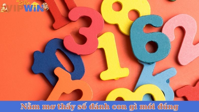Nằm mơ thấy số đánh con gì mới đúng